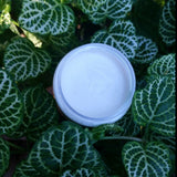 Load image into Gallery viewer, Summer Daze Daily Moisturizer - Sugar Town Organics