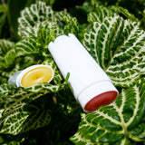 Load image into Gallery viewer, Orange Vanilla Lip Balm - Sugar Town Organics