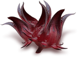 Load image into Gallery viewer, Sorrel Jelly - Sugar Town Organics