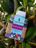 Load image into Gallery viewer, Exotica - Sugar Town Organics